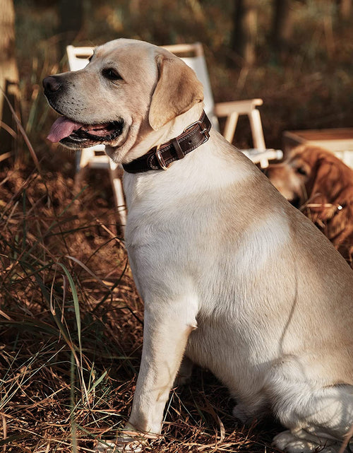 Load image into Gallery viewer, Leather Dog Collar, Genuine Heavy Duty Wide Dog Collar for Small,Medium,Large and Extra Large Dog (S: 0.8" Wide for 13.4"-15.8" Neck, Dual Stitch - Brown)
