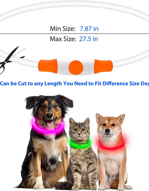Load image into Gallery viewer, LED Dog Collar, USB Rechargeable Glowing Lighted up Collar, Cuttable Water-Resistant TPU Safety Collar Lights for Small Medium Large Dogs
