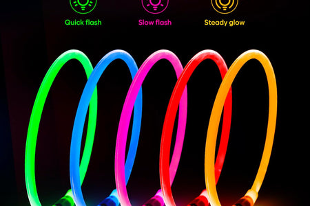 LED Dog Collar Waterproof Rechargeable - Bright TPU Light up Pet Collars, Reflective Adjustable Dog Glow Collar, Dog Safety Collar Light for Small Medium Large Dogs Night Walking&Camping