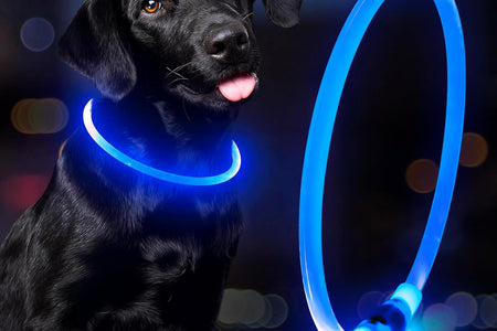 LED Dog Collar Waterproof Rechargeable - Bright TPU Light up Pet Collars, Reflective Adjustable Dog Glow Collar, Dog Safety Collar Light for Small Medium Large Dogs Night Walking&Camping