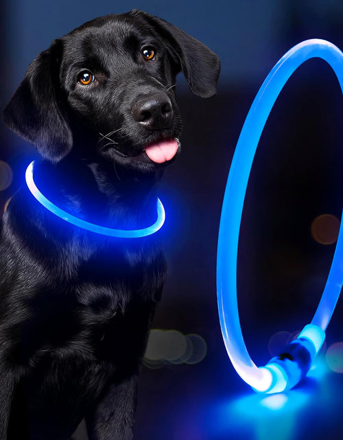 Load image into Gallery viewer, LED Dog Collar Waterproof Rechargeable - Bright TPU Light up Pet Collars, Reflective Adjustable Dog Glow Collar, Dog Safety Collar Light for Small Medium Large Dogs Night Walking&amp;Camping
