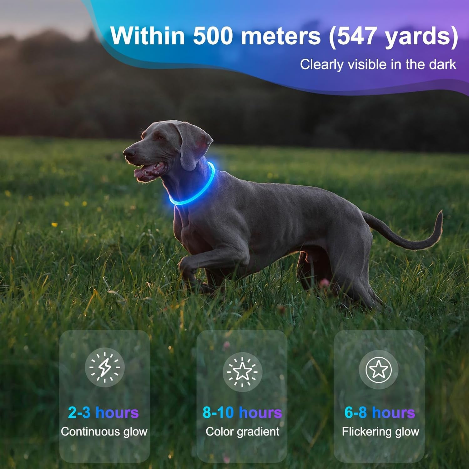 LED Dog Collar Waterproof Rechargeable - Bright TPU Light up Pet Collars, Reflective Adjustable Dog Glow Collar, Dog Safety Collar Light for Small Medium Large Dogs Night Walking&Camping