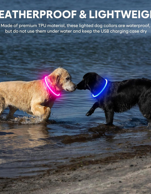 Load image into Gallery viewer, LED Dog Collar Waterproof Rechargeable - Bright TPU Light up Pet Collars, Reflective Adjustable Dog Glow Collar, Dog Safety Collar Light for Small Medium Large Dogs Night Walking&amp;Camping
