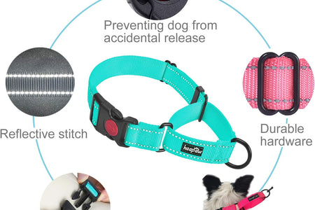 2 Packs Martingale Dog Collar with Quick Release Buckle Reflective Dog Training Collars for Small Medium Large Dogs