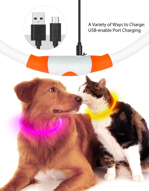 Load image into Gallery viewer, LED Dog Collar, USB Rechargeable Glowing Lighted up Collar, Cuttable Water-Resistant TPU Safety Collar Lights for Small Medium Large Dogs
