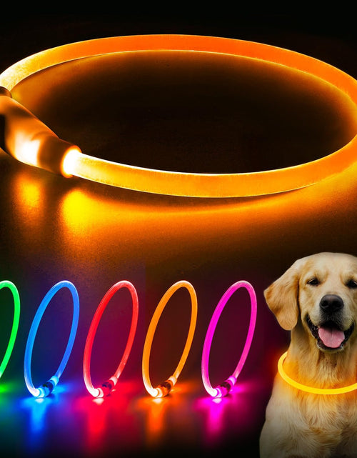 Load image into Gallery viewer, LED Dog Collar, USB Rechargeable Glowing Lighted up Collar, Cuttable Water-Resistant TPU Safety Collar Lights for Small Medium Large Dogs
