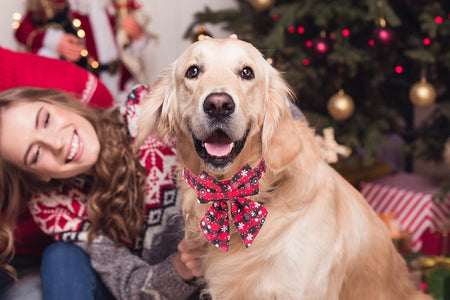 2 Pack Christmas Dog Collar with Bow Tie, Classic Plaid Red Green Dog Collars with Removable Bowtie Christmas Collars for Large Dogs Pets (Large, Christmas Bow-2)
