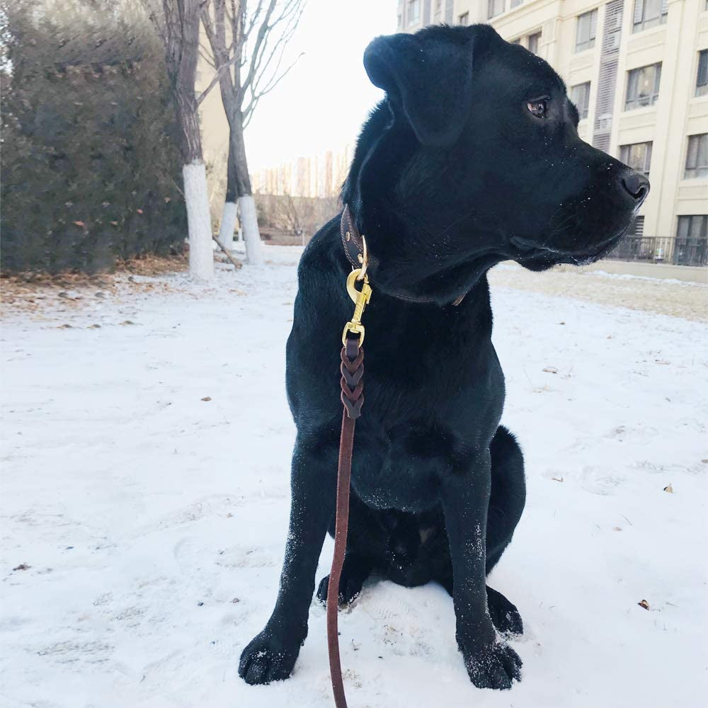 Leather Dog Collar, Genuine Heavy Duty Wide Dog Collar for Small,Medium,Large and Extra Large Dog (S: 0.8" Wide for 13.4"-15.8" Neck, Dual Stitch - Brown)