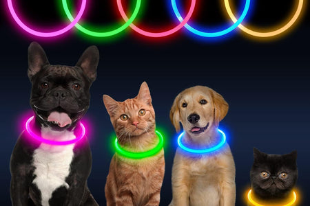 LED Dog Collar, USB Rechargeable Glowing Lighted up Collar, Cuttable Water-Resistant TPU Safety Collar Lights for Small Medium Large Dogs