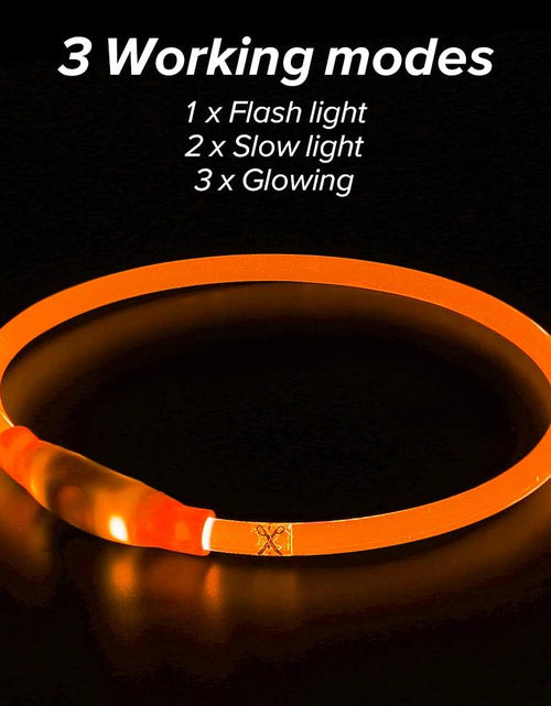 Load image into Gallery viewer, LED Dog Collar, USB Rechargeable Glowing Lighted up Collar, Cuttable Water-Resistant TPU Safety Collar Lights for Small Medium Large Dogs
